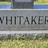 kwhitaker4822